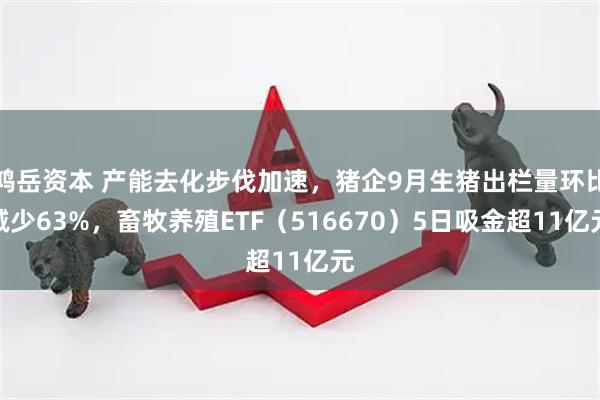 鸿岳资本 产能去化步伐加速，猪企9月生猪出栏量环比减少63%，畜牧养殖ETF（516670）5日吸金超11亿元