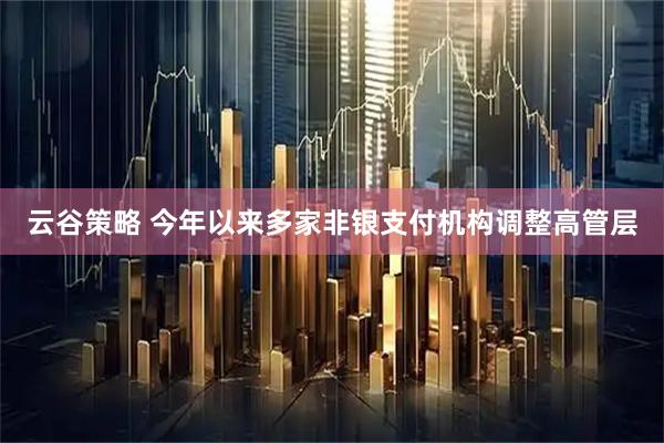 云谷策略 今年以来多家非银支付机构调整高管层