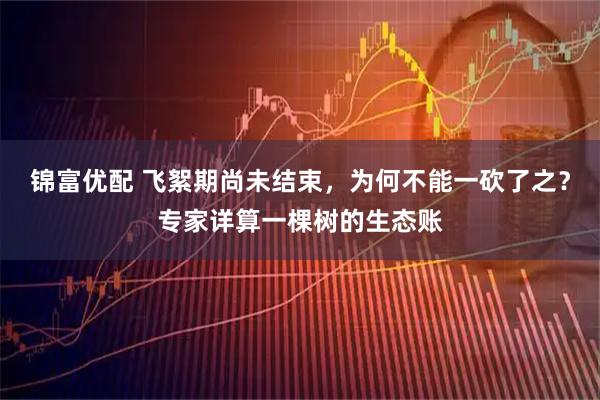 锦富优配 飞絮期尚未结束，为何不能一砍了之？专家详算一棵树的生态账