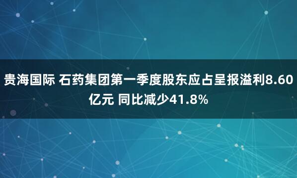 贵海国际 石药集团第一季度股东应占呈报溢利8.60亿元 同比减少41.8%